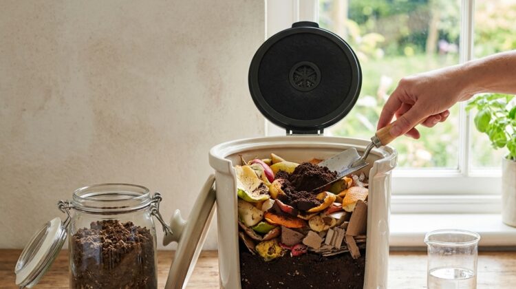 Earth Day week home ecology: what composting actually does (microbes, carbon/nitrogen), and how to start a low-odor kitchen compost system