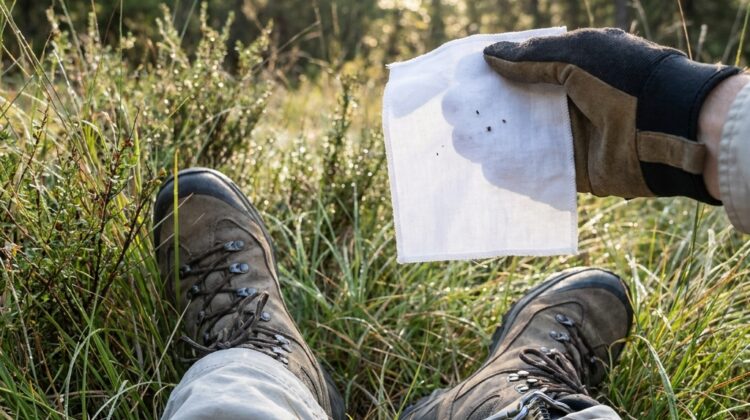 Tick season basics: the outdoor science of where ticks live, how to reduce risk in your yard, and what to do after a walk (non-medical, prevention-focused)