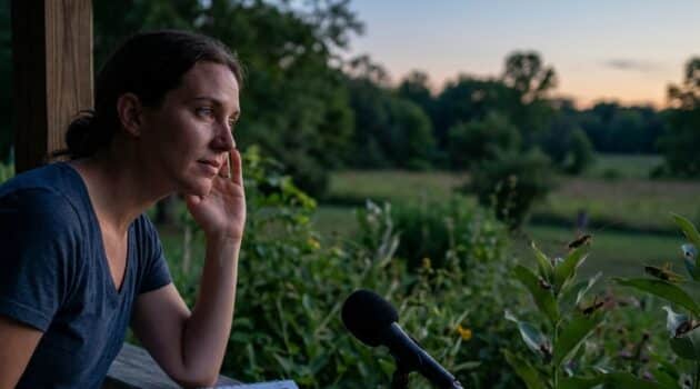 Summer solstice evening ecology: why you hear more insects at night now, what those sounds usually are, and a safe ‘sound map’ activity