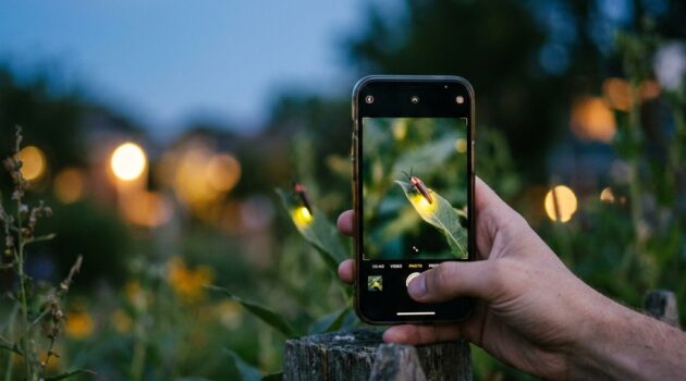 How to take better summer night photos with a phone: the science of low light, noise, stabilization, and simple settings (no guesswork)