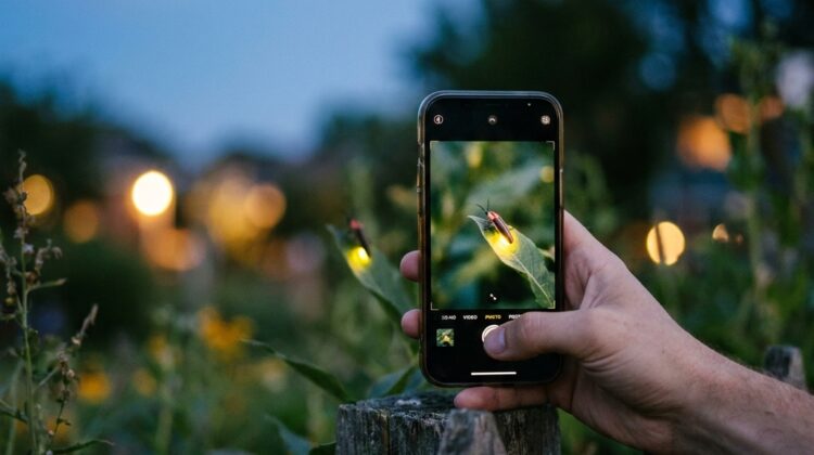 How to take better summer night photos with a phone: the science of low light, noise, stabilization, and simple settings (no guesswork)